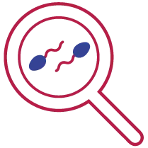 Indira IVF Semen Analysis