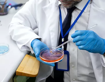 Treatments Offered DNA Fragmentation Index